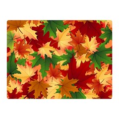 Autumn Leaves Double Sided Flano Blanket (mini) 