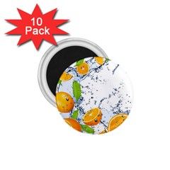 Fruits Water Vegetables Food 1 75  Magnets (10 Pack) 