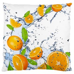 Fruits Water Vegetables Food Standard Flano Cushion Case (two Sides)