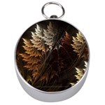 Fractalius Abstract Forests Fractal Fractals Silver Compasses Front