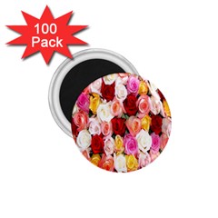 Rose Color Beautiful Flowers 1 75  Magnets (100 Pack)  by BangZart