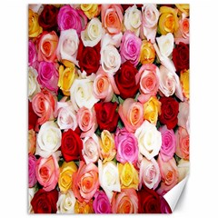 Rose Color Beautiful Flowers Canvas 18  X 24   by BangZart