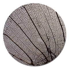 Sea Fan Coral Intricate Patterns Magnet 5  (round) by BangZart