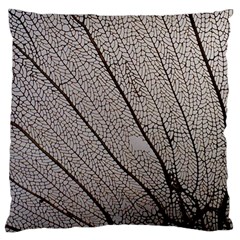 Sea Fan Coral Intricate Patterns Large Flano Cushion Case (one Side)