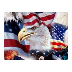 United States Of America Images Independence Day Double Sided Flano Blanket (mini) 