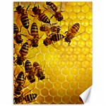 Honey Honeycomb Canvas 18  x 24   17.8 x23.08  Canvas - 1