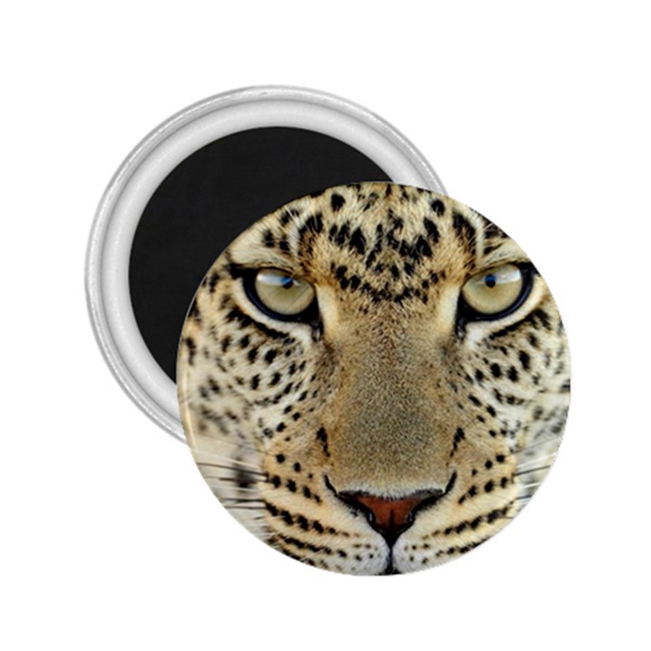 Leopard Face 2.25  Magnets