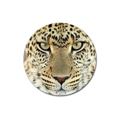 Leopard Face Magnet 3  (round) by BangZart