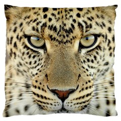 Leopard Face Standard Flano Cushion Case (two Sides)