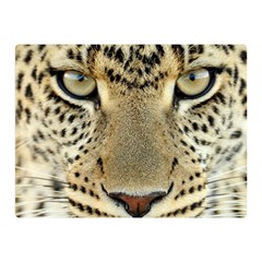 Leopard Face Double Sided Flano Blanket (mini) 