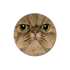 Cute Persian Catface In Closeup Magnet 3  (round)