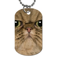 Cute Persian Catface In Closeup Dog Tag (one Side)