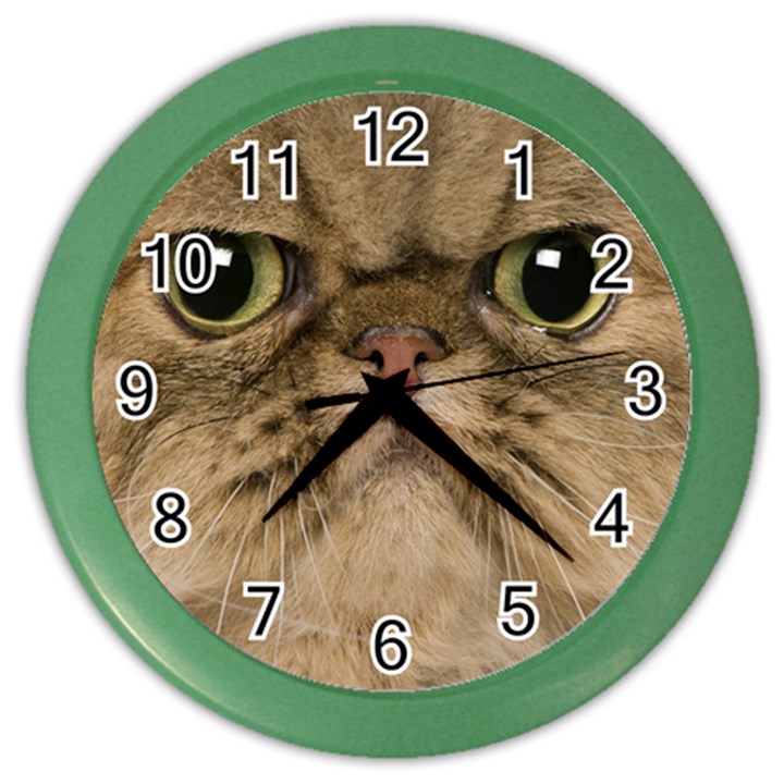 Cute Persian Catface In Closeup Color Wall Clocks