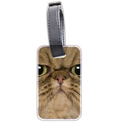 Cute Persian Catface In Closeup Luggage Tags (two Sides) by BangZart