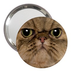 Cute Persian Catface In Closeup 3  Handbag Mirrors by BangZart