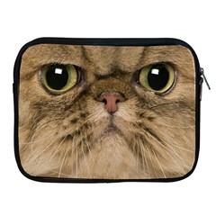 Cute Persian Catface In Closeup Apple Ipad 2/3/4 Zipper Cases