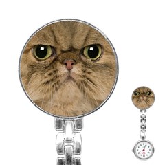 Cute Persian Catface In Closeup Stainless Steel Nurses Watch