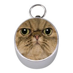 Cute Persian Catface In Closeup Mini Silver Compasses