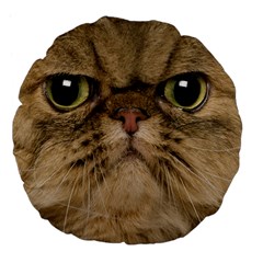 Cute Persian Catface In Closeup Large 18  Premium Flano Round Cushions