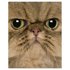 Cute Persian Catface In Closeup Drawstring Bag (small)