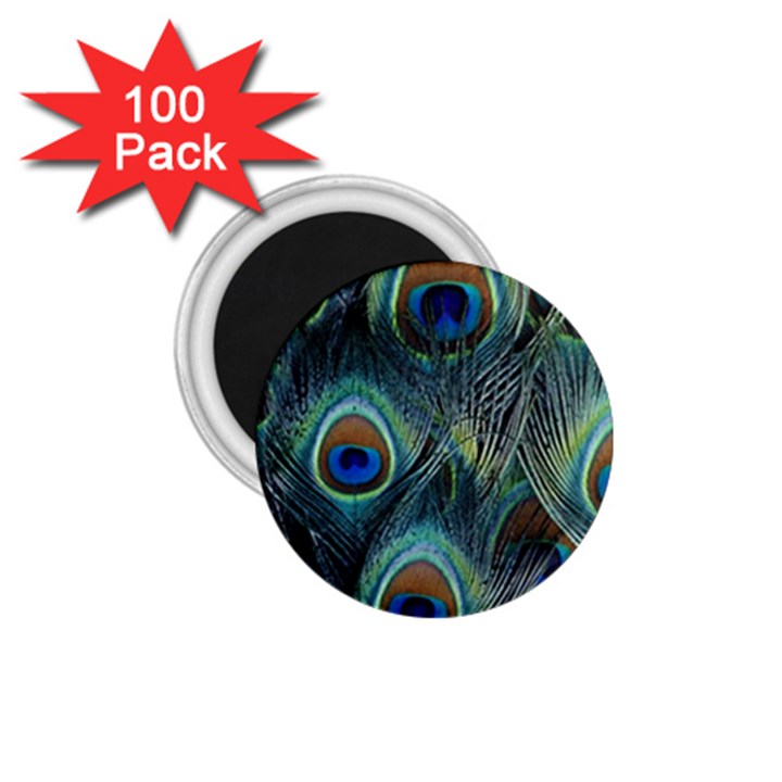 Feathers Art Peacock Sheets Patterns 1.75  Magnets (100 pack) 