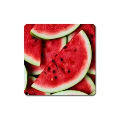 Fresh Watermelon Slices Texture Square Magnet by BangZart