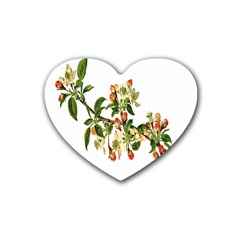 Apple Branch Deciduous Fruit Heart Coaster (4 Pack)  by Nexatart