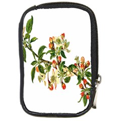 Apple Branch Deciduous Fruit Compact Camera Cases by Nexatart