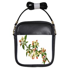 Apple Branch Deciduous Fruit Girls Sling Bags by Nexatart