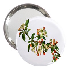 Apple Branch Deciduous Fruit 3  Handbag Mirrors by Nexatart