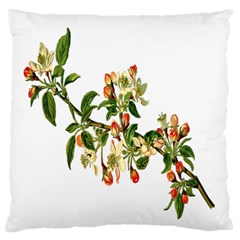 Apple Branch Deciduous Fruit Standard Flano Cushion Case (two Sides)