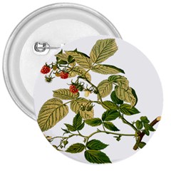 Berries Berry Food Fruit Herbal 3  Buttons by Nexatart