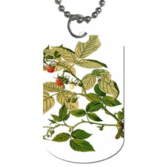 Berries Berry Food Fruit Herbal Dog Tag (one Side) by Nexatart