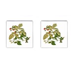 Berries Berry Food Fruit Herbal Cufflinks (Square) Front(Pair)