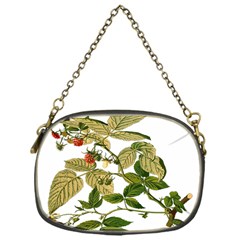 Berries Berry Food Fruit Herbal Chain Purses (one Side)  by Nexatart