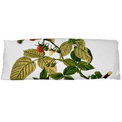 Berries Berry Food Fruit Herbal Body Pillow Case (dakimakura) by Nexatart