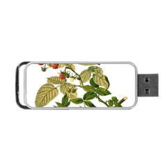 Berries Berry Food Fruit Herbal Portable Usb Flash (one Side) by Nexatart