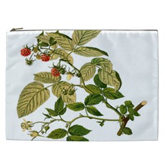 Berries Berry Food Fruit Herbal Cosmetic Bag (xxl)  by Nexatart