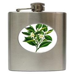 Bitter Branch Citrus Edible Floral Hip Flask (6 Oz) by Nexatart