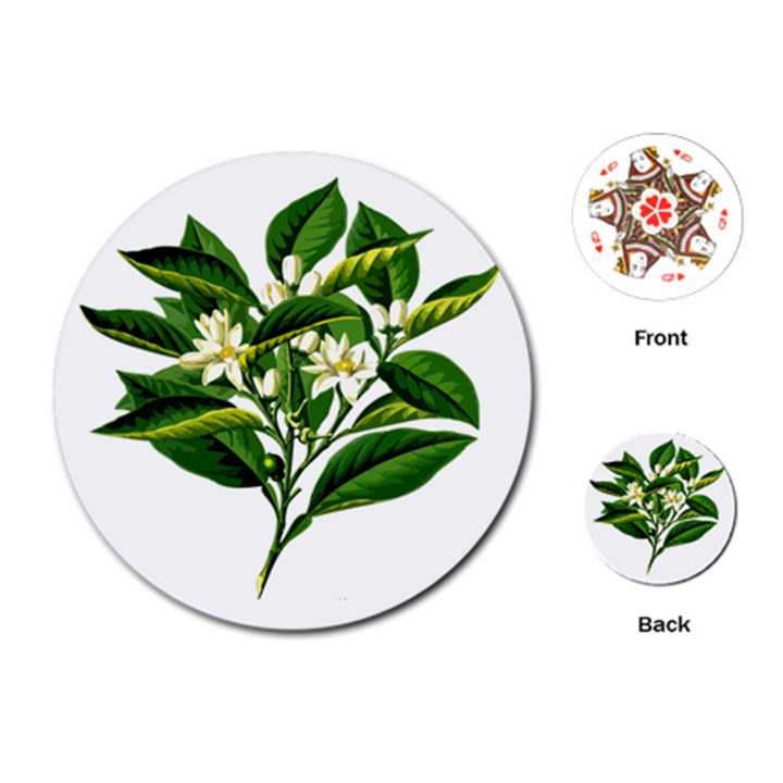 Bitter Branch Citrus Edible Floral Playing Cards (Round) 