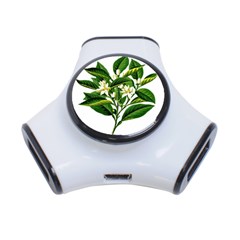 Bitter Branch Citrus Edible Floral 3-Port USB Hub