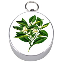 Bitter Branch Citrus Edible Floral Silver Compasses by Nexatart