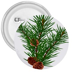 Branch Floral Green Nature Pine 3  Buttons by Nexatart