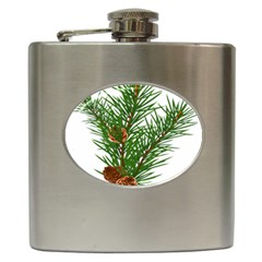 Branch Floral Green Nature Pine Hip Flask (6 Oz) by Nexatart