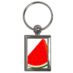 Fruit Harvest Slice Summer Key Chains (rectangle)  by Nexatart