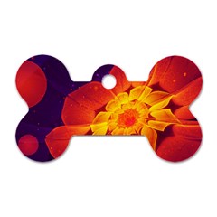 Royal Blue, Red, And Yellow Fractal Gerbera Daisy Dog Tag Bone (one Side) by jayaprime