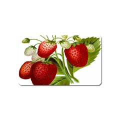 Food Fruit Leaf Leafy Leaves Magnet (name Card)