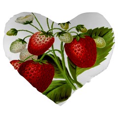 Food Fruit Leaf Leafy Leaves Large 19  Premium Flano Heart Shape Cushions by Nexatart