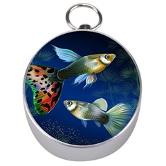 Marine Fishes Silver Compasses