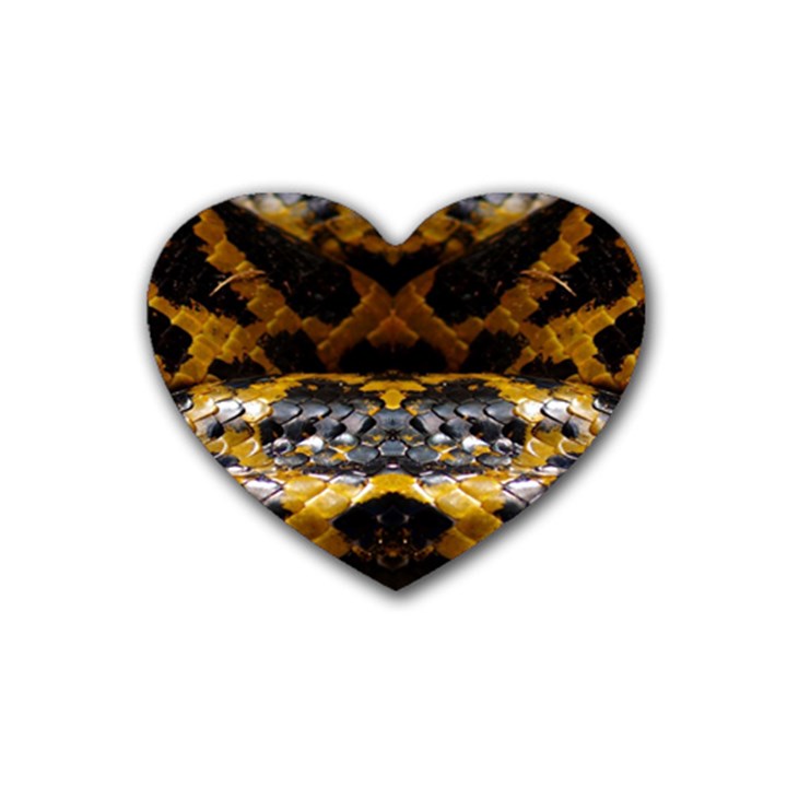 Textures Snake Skin Patterns Rubber Coaster (Heart) 